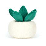 Planhigyn Penglog Jellycat | Jellycat Amuseables Skull Planter