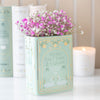 Fâs Siap Llyfr | Book Shaped Vase - Myths, Fairy Tales & Legends.
