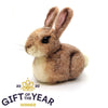 Pecyn Ffeltio Nodwydd - Cwningen Fach | Needle Felting Craft Kit - Baby Bunny