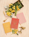 Dyddlyfr Swêd - Pelydrau Pelydrol | Suede Journal - Radiant Rays