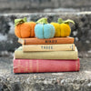 Pecyn Ffeltio Nodwydd - Pwmpenni Gwlanog | Needle Felting Craft Kit - Woolly Pumpkins