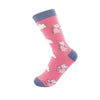 Sanau - Moch yn Hedfan | Miss Sparrow Socks - Flying Pigs