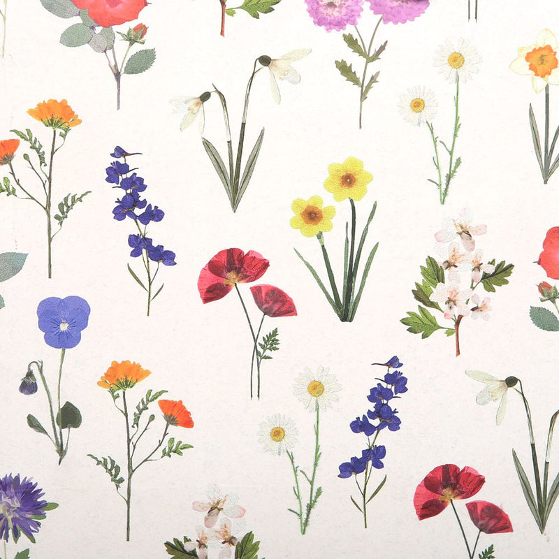 Bag Anrheg Canolig - Blodau Gwyllt | Medium Gift Bag - Wildflower