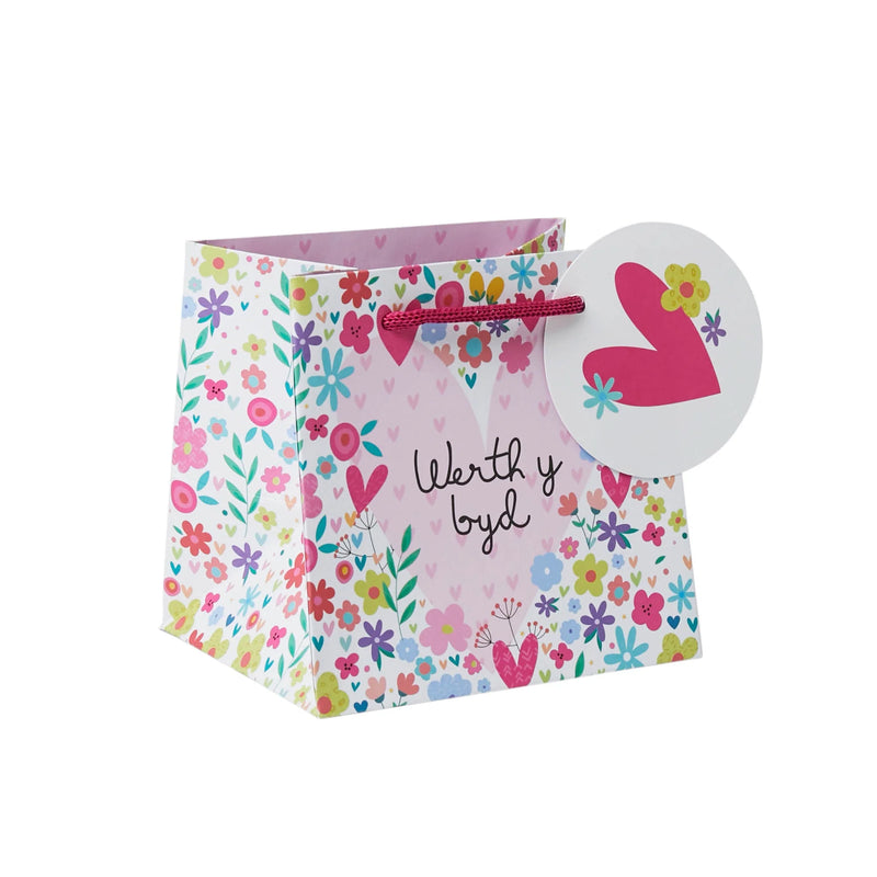 Bag Anrheg Mwg - Werth y Byd | Mug Gift Bag - Worth the World