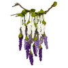 Pecyn Crefft Ffelt - Wisteria | Felt Flower Craft Kit - Wisteria