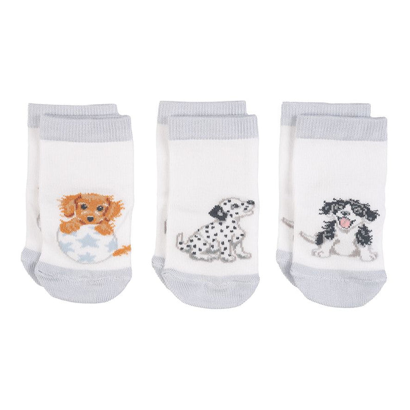 Sanau Babi | Wrendale Little Paws Baby Sock Set - 6-12 Months