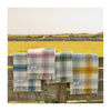 Carthen Wlân Cymreig - Melyn | Welsh Wool Blanket - Meadow Check, Yellow