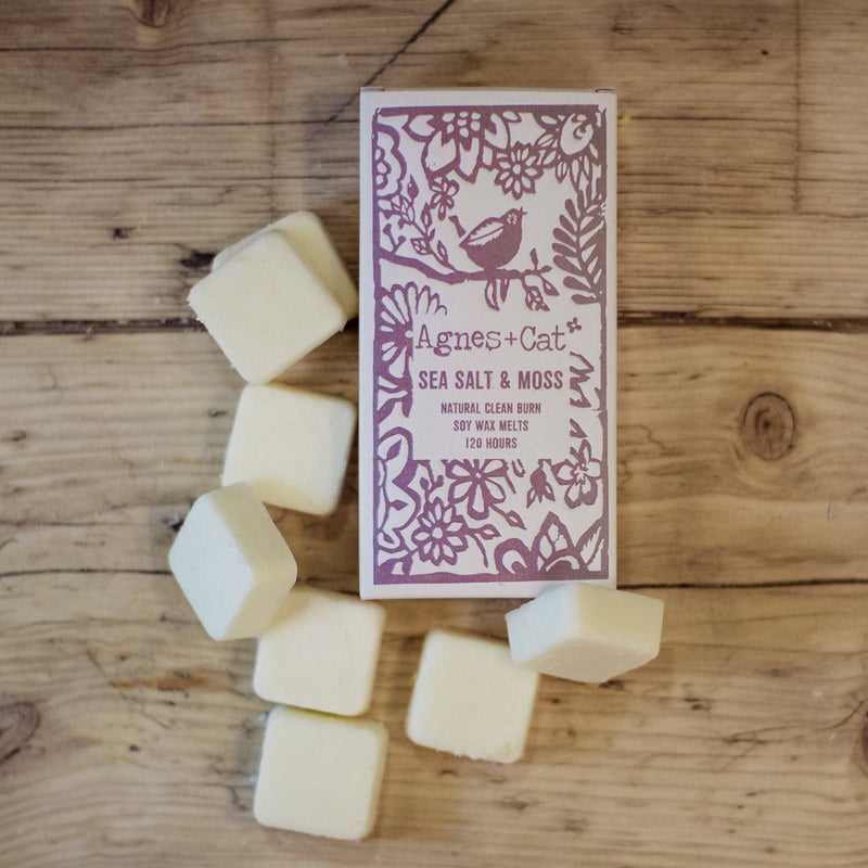 Toddwyr Cwyr Soi | Agnes & Cat Soy Wax Melts - Seasalt & Moss