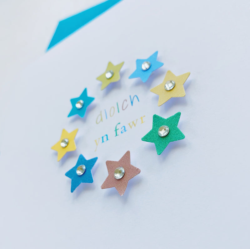 Cerdyn Diolch Serennu | Serennu Thank You Card