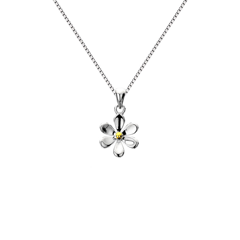 Cadwyn Llygad y Dydd Arian| Daisy Silver & Brass Necklace
