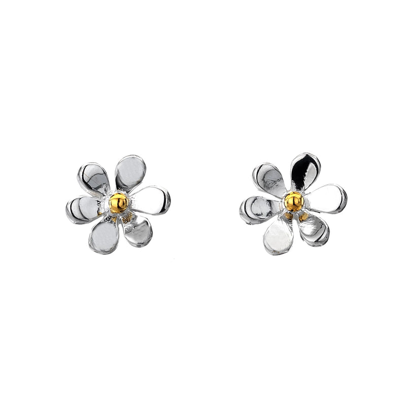Styds Llygad y Dydd Arian | Daisy Silver & Brass Studs