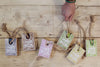 Sebon ar Gortyn | Agnes & Cat Soap on a Rope – Rhubarb Rhubarb