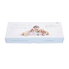 Sanau Babi | Wrendale Little Paws Baby Sock Set - 0-6 Months